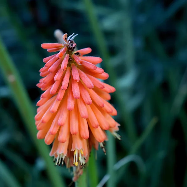pg电子百家乐游戏